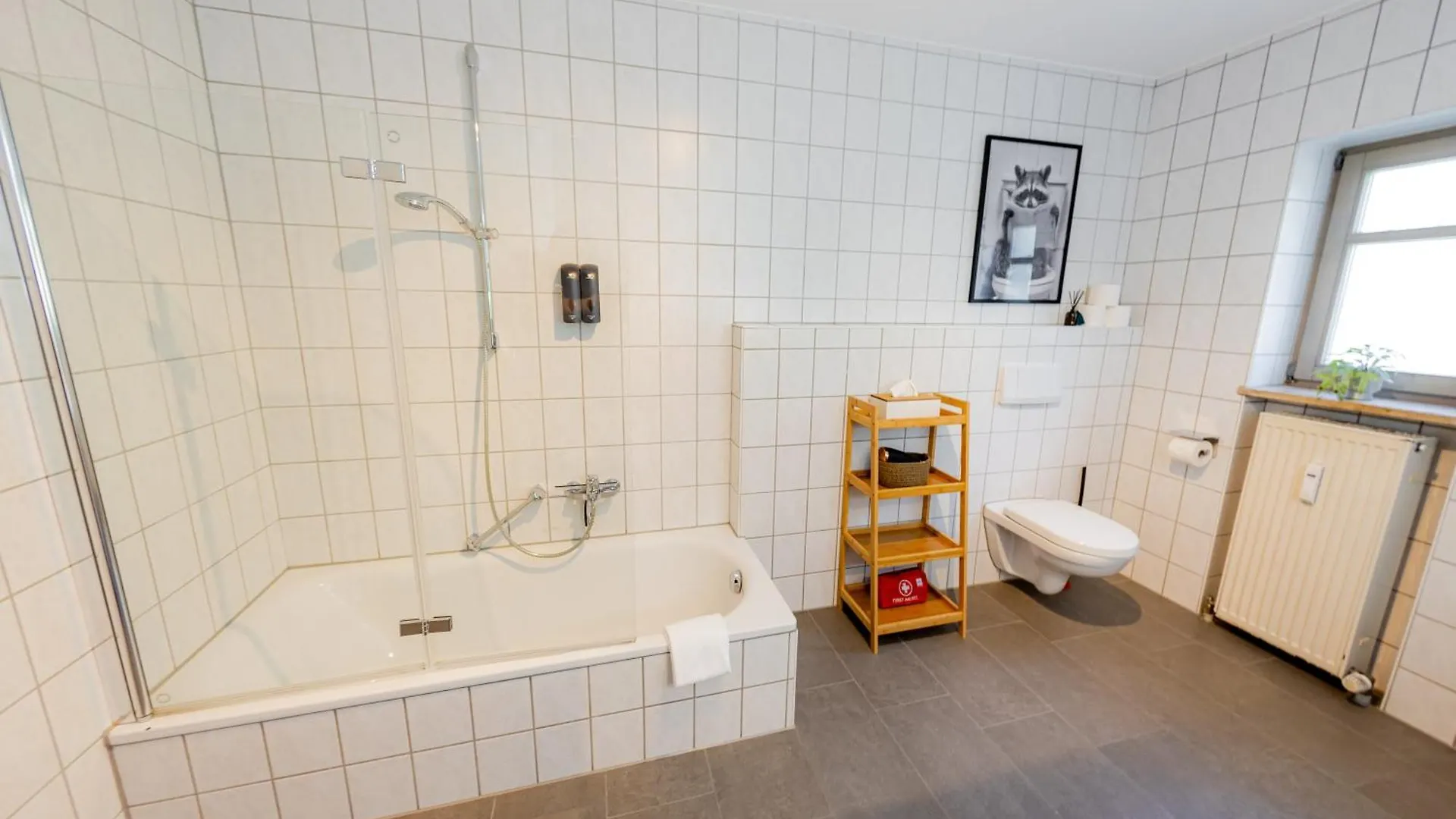Come4Stay Innstadtgarten Domblick 帕绍 公寓